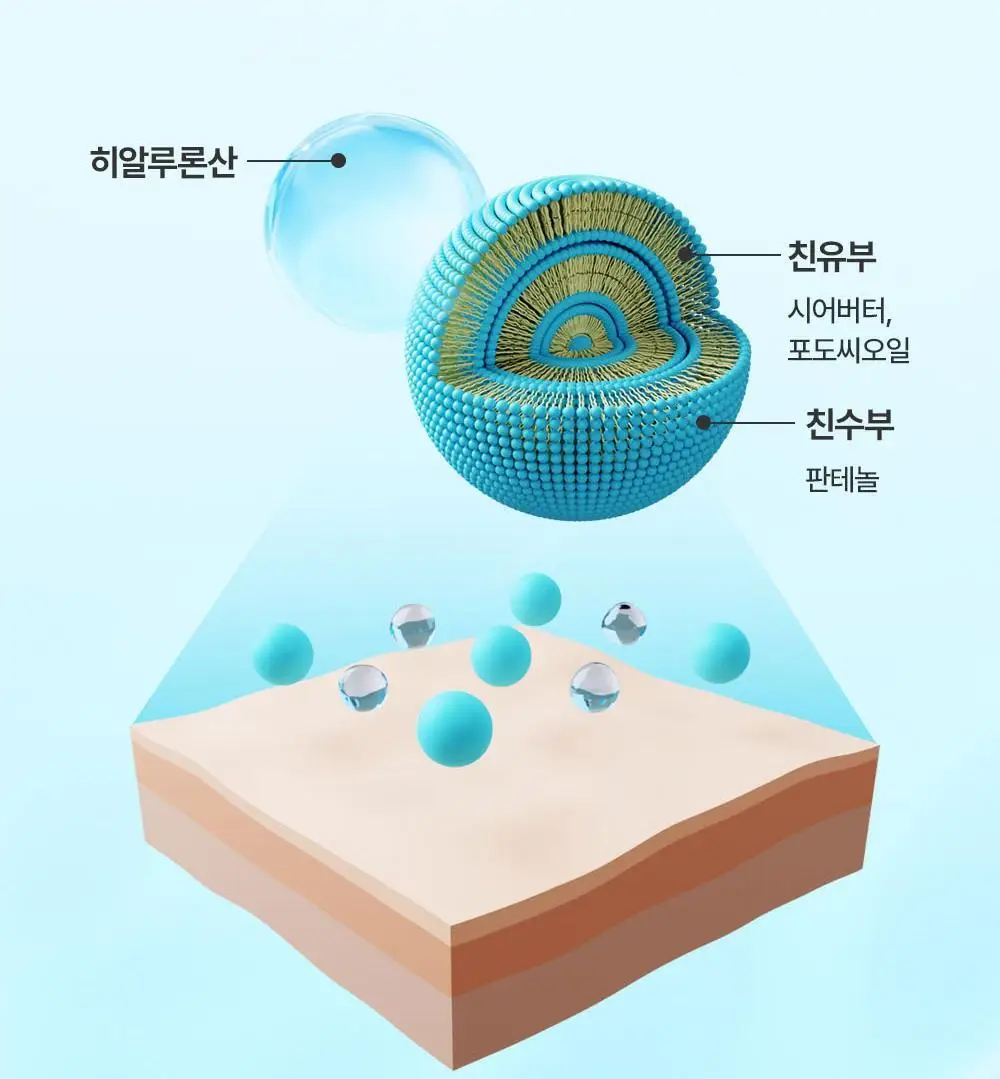 [래하벨 콜라보]더마비 데일리 바디워시 1000ml 3종 택1(피치/머스크/만다린) 상세페이지 16